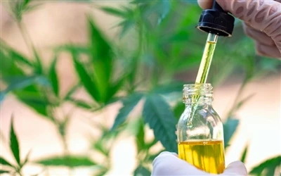 9 gezondheidsvoordelen van CBD-olie – en bijwerkingen