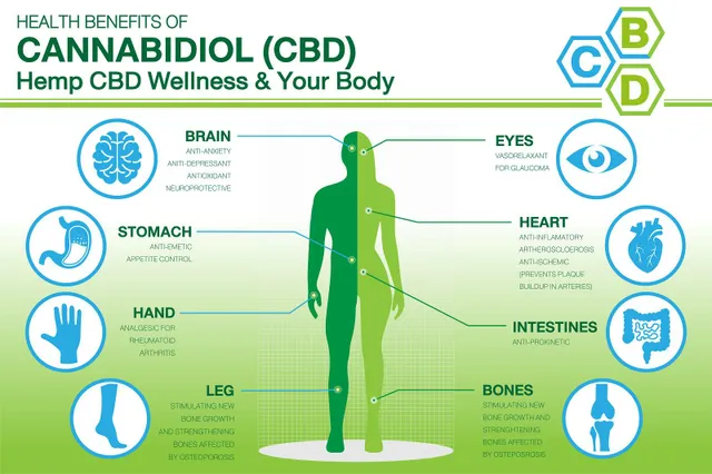 Top 5 gezondheidsvoordelen van CBD-olie – en een blik op de bijwerkingen