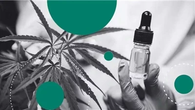 Hennep versus CBD: wat is het verschil?